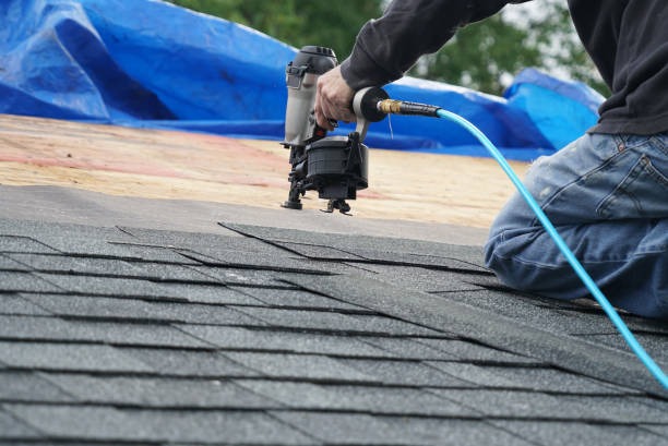 Roof Moss and Algae Removal in Osseo, WI